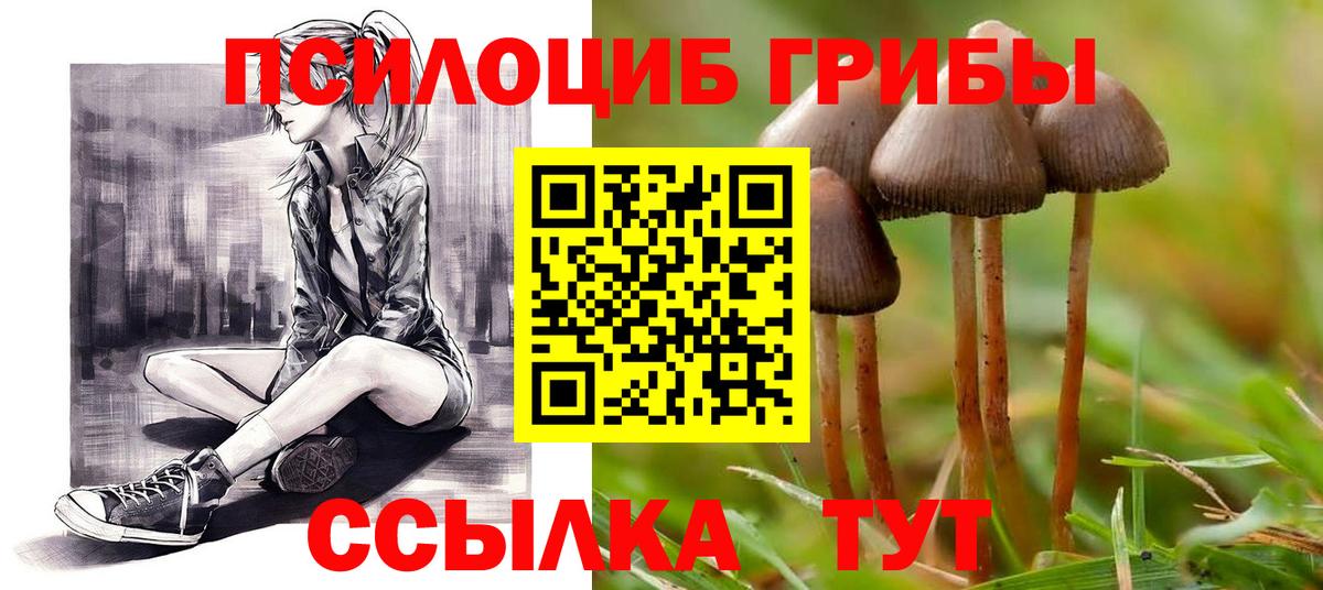 Галлюциногенные грибы мухоморы Крымск